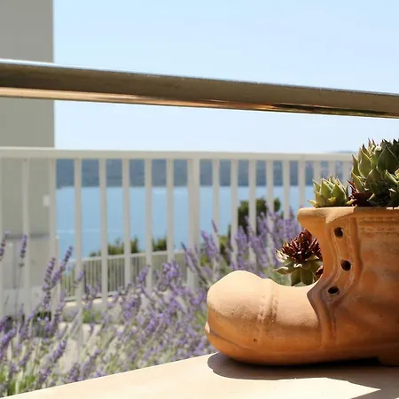 Lavanda Trogir